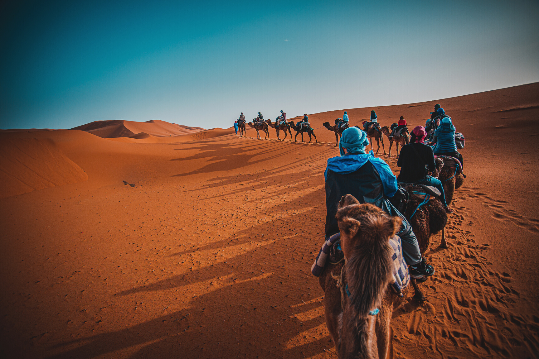 People Riding Camels on the Desert